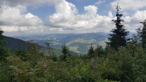 Cabana Mălina Vârtop