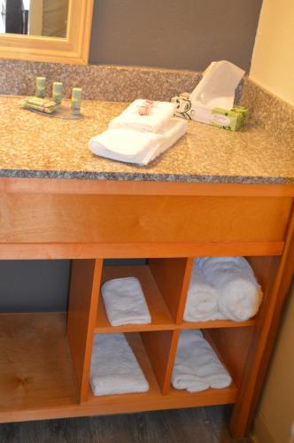 Lake View Inn in Granbury, USA