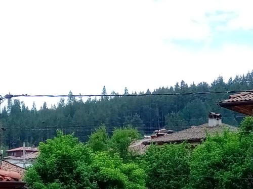 Стаи за гости Милена, Копривштица (фото 6)