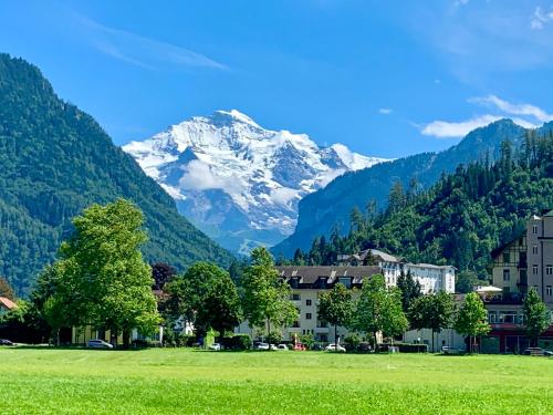 Eiger, Jungfrau, luxury garden apartment Grindelwald