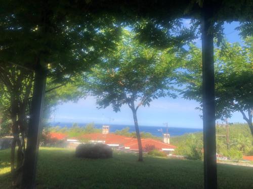 Bright & Spacious Seaview Villa, Сиври (фото 2)