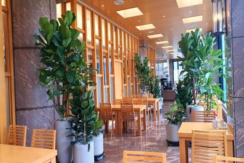 Arban Hotel