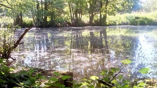 Domaine de Gentilly