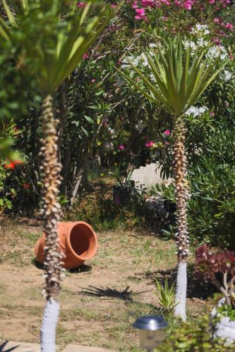 Villa Joanna - image 13