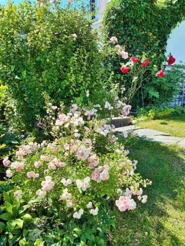 Hotel/Pension Rosengarten in Franking