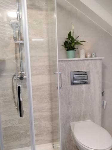 Apartments Abjanic - image 12