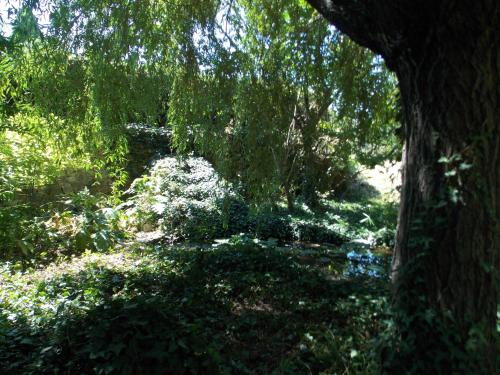 GITE VOLUBILIS BLEU in Laurens