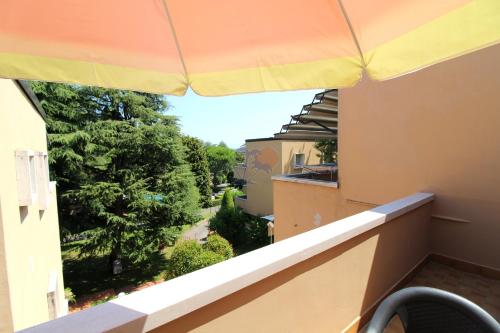 One-Bedroom Apartment image 9