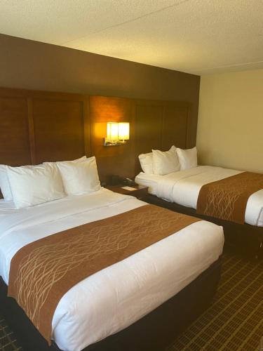 Queen Room with Two Queen Beds - Non-Smoking