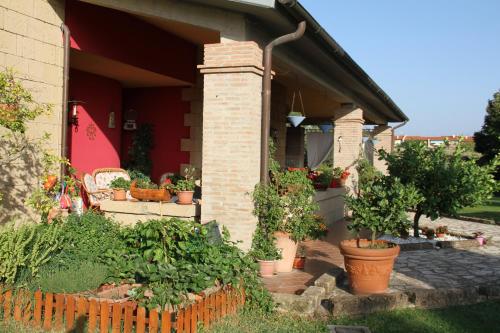 A Casa di Amici 5