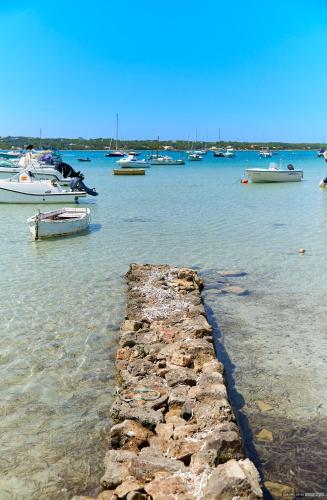 Apartamentos Sabina Playa - image 10