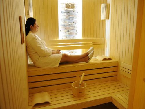 สปา, Villa i SPA Stevic in เวลิโค กราดิสเต