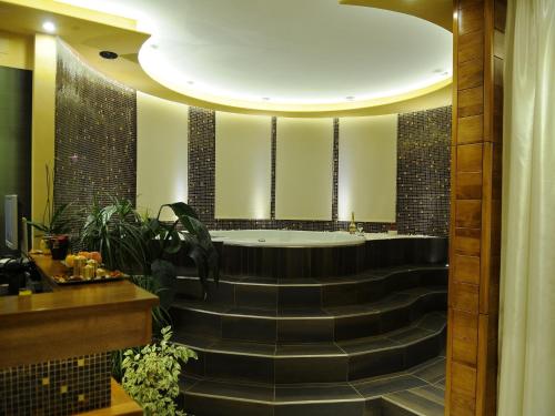 สปา, Villa i SPA Stevic in เวลิโค กราดิสเต