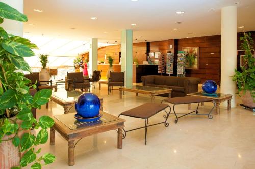 Hol, SBH Hotel Royal Monica in Plaja Blanca