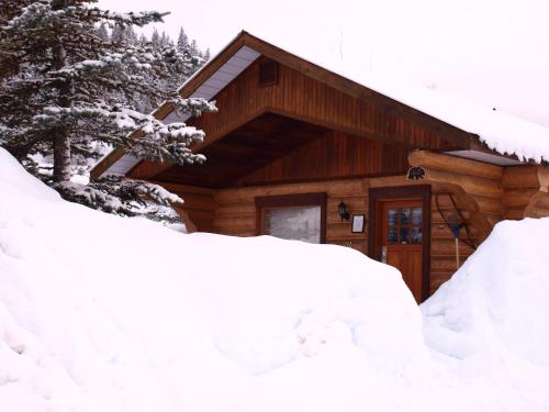 Cozy Cabin