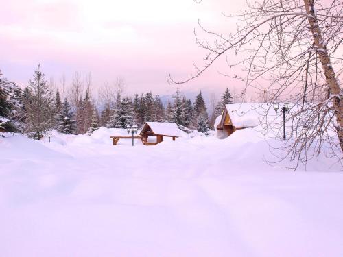 Family Cabin