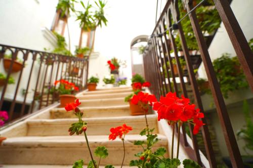 Hotels Image