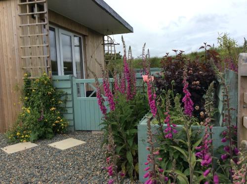 Pembrokeshire Shepherds Huts Plus