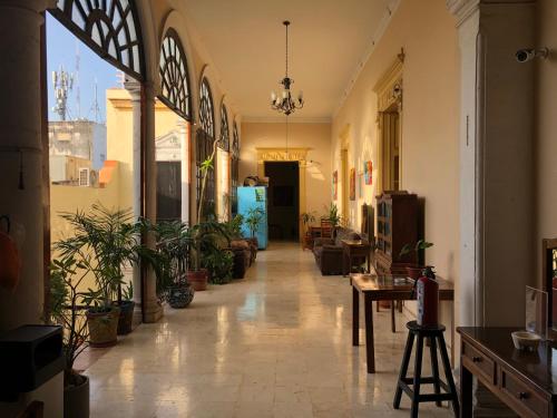 View, Hostal Zocalo in Merida
