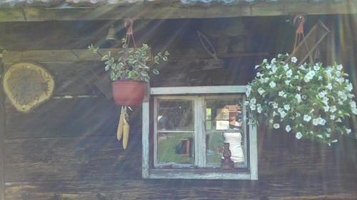 Holiday Home image 10