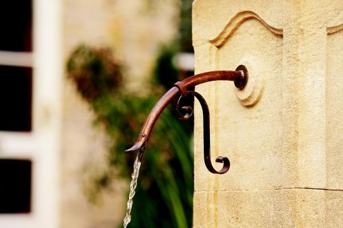 Garden Living - Boutique Hotel, Berlin (photo 7)