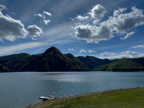 Pensiunea Lac - image 5
