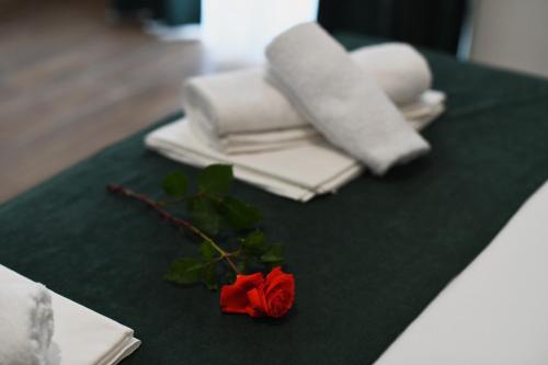 Andjela 1 - main image