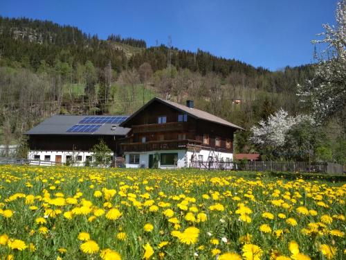 Blonbauer, Schladming (photo 8)