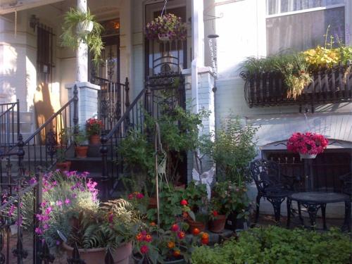 Ledroit Park Renaissance Bed and Breakfast in Washington, USA