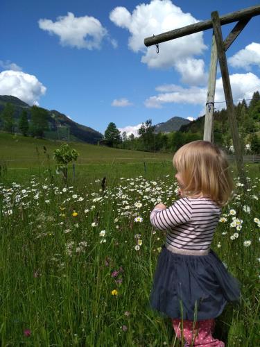 Blonbauer, Schladming (photo 5)
