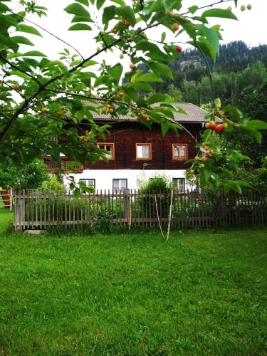 Blonbauer, Schladming (photo 4)
