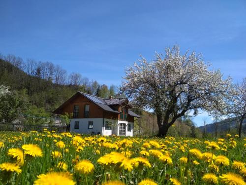  Gästehaus Blonbauer, Pension in Schladming
