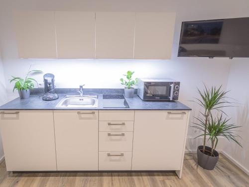 Freiburger-Ferienwohnung - image 10