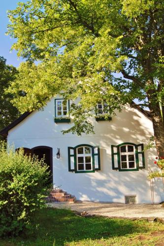 Accommodation in Muggendorf