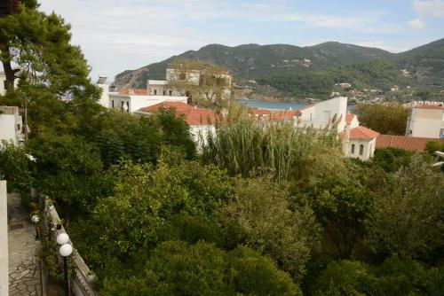 Sofia's Garden Studios - image 3