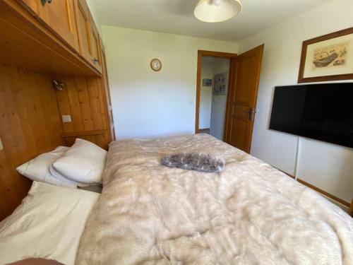 Chalet Kid Verbier
