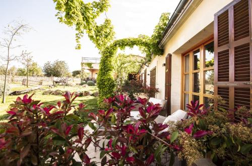 Aumallia Hotel & Spa - image 14