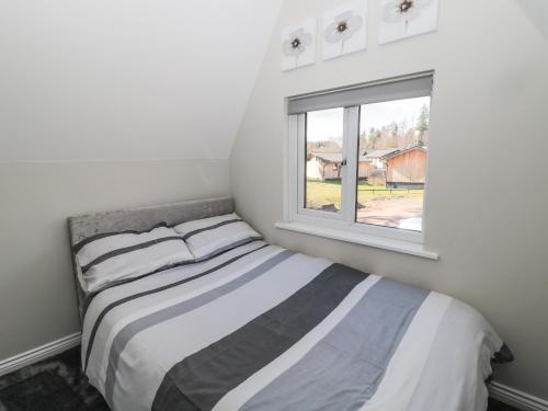 Squirrel Lodge - image 2