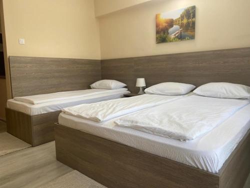 Hotel Breaza - image 3