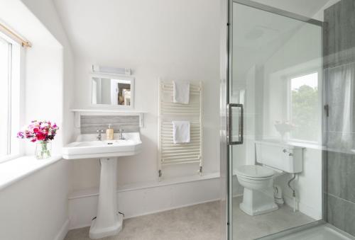 Little Winters Cottage - image 4