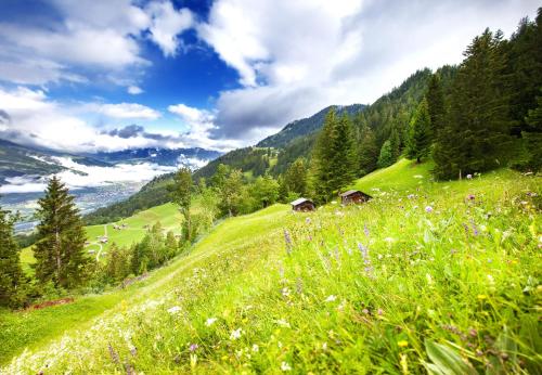 Hotel Oberland in Triesenberg