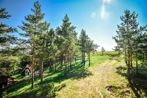 NG Apartmani Tornik Zlatibor - image 4
