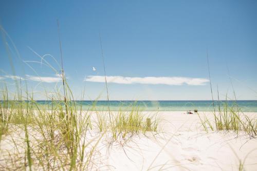 A View to Sea! West End! Sleeps 14! Hot Tub! - image 4