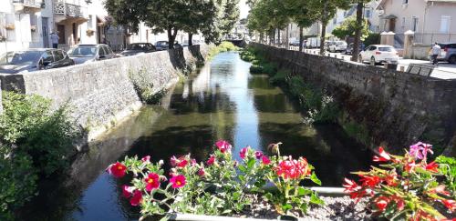 La Porte de la Dombes - centre ville - 70m2 - classé 3 étoiles