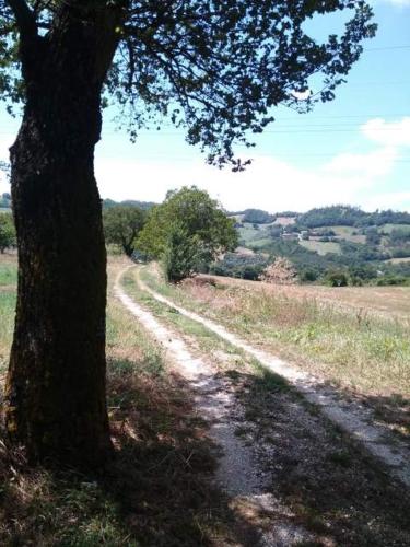 Casa Vacanze Campo d'Arco