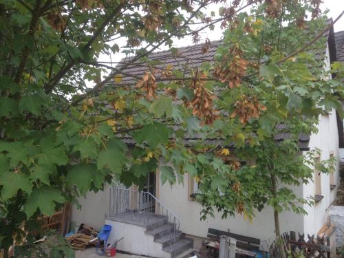 A szálláshely kívülről, Ferienhaus am Schloss, Haag 127 in Aufseß