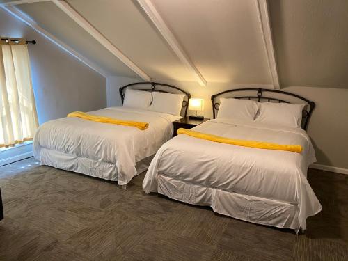 2 queen beds