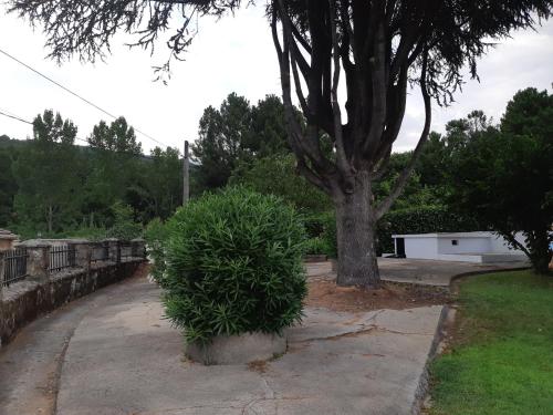  Marabá in Arenas de San Pedro