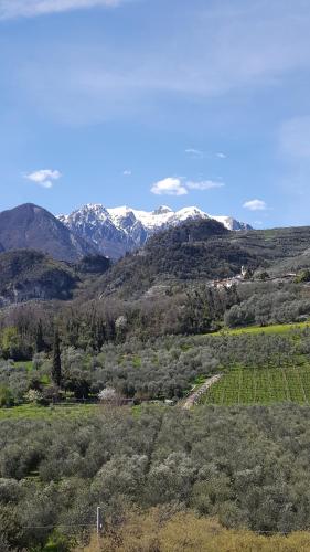 Ristorante la Berlera