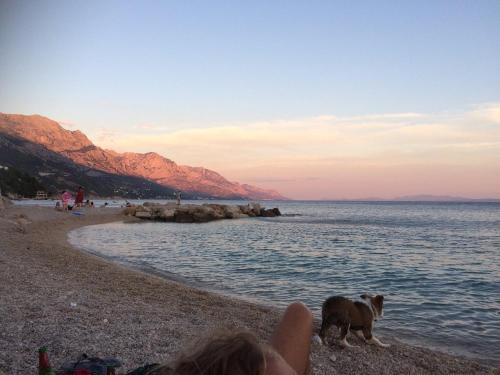 Hostel & Private Rooms Dalmatia – Marusici, MD